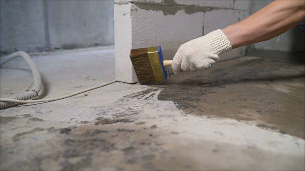 SJ Waterproofing Pros Waterproofing coverage map for Vienna, GA and surrounding area